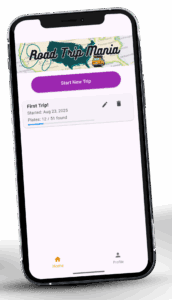 Road Trip Mania screen 2